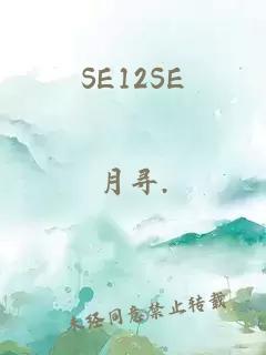 SE12SE